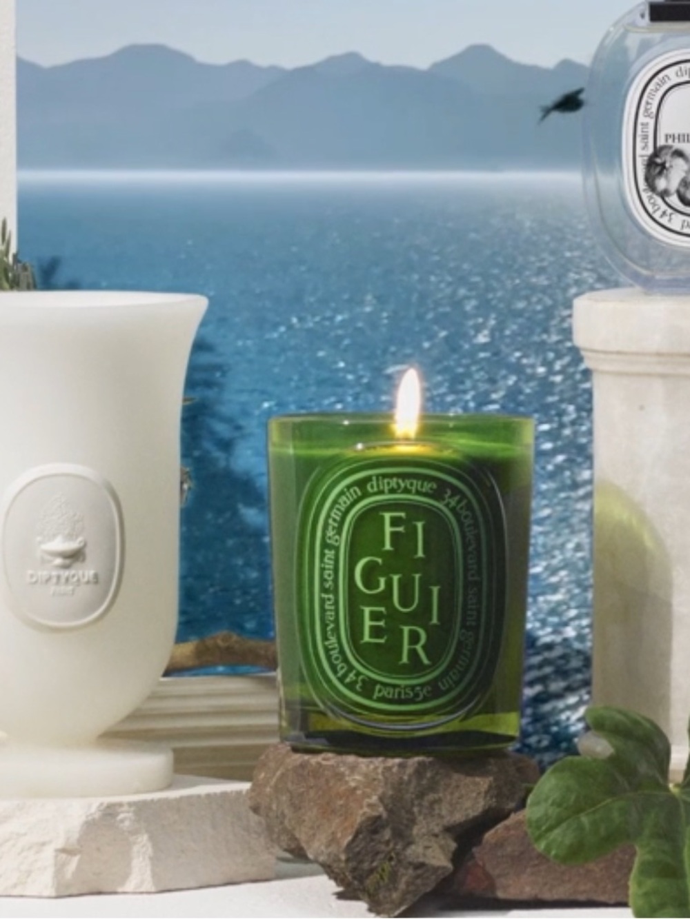 Diptyque Figuier candle MEDIUM 300g DIPTYQUE Medium Fig candle